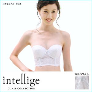 [X O uW[ O[ GUNZE Ae[WF intellige uC_Ci[ BC eVFCv 