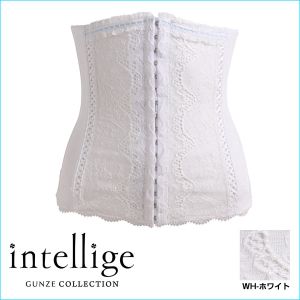 [X  jbp[ O[ GUNZE Ae[WF intellige uC_Ci[ EGXg eVFCv 