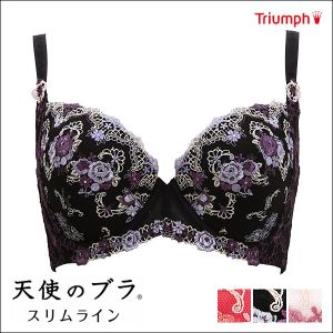 [X  uW[ gv Triumph Vg̃u345 3 4Jbv F 