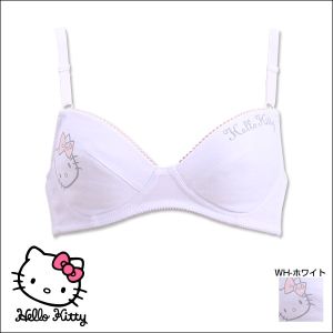 mC[ vg mC[u n[LeB[ HELLO KITTY WjA W[ 